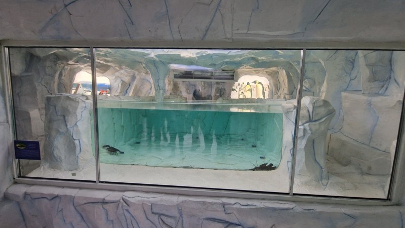 Природонаучният музей отвори първа в света ледена експозиция „Полюси”