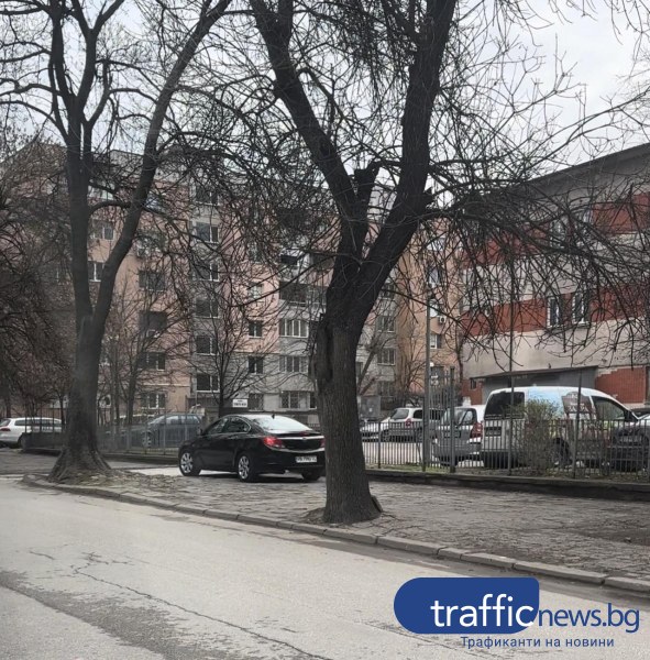 Шофьорка шпори по тротоар в Пловдив, обърна автомобила си по