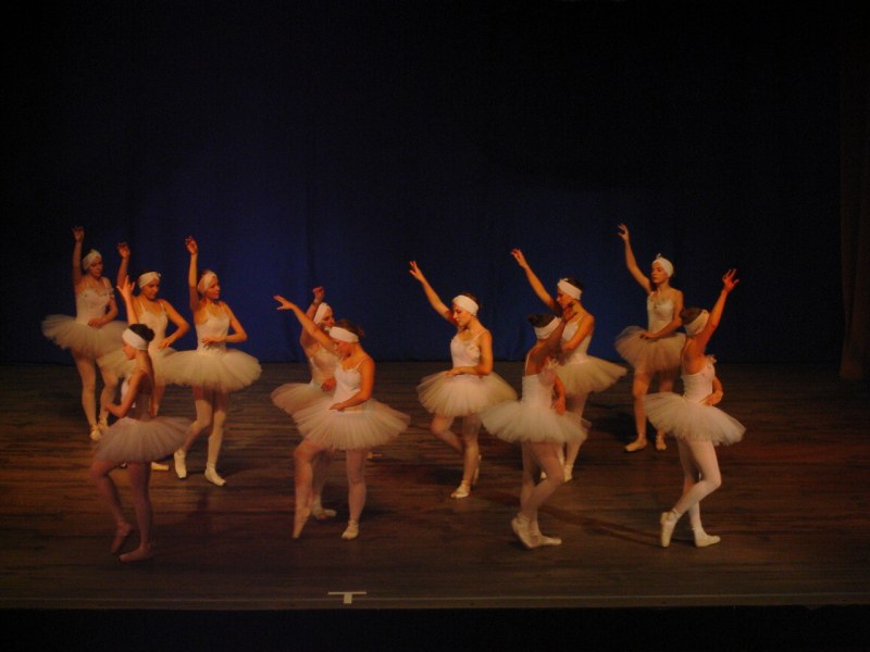 На този ден: В Болшой театър се състои премиерата на балета Лебедово езеро от Пьотр Чайковски