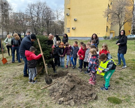 Засадиха 45 декоративни дръвчета в „Тракия