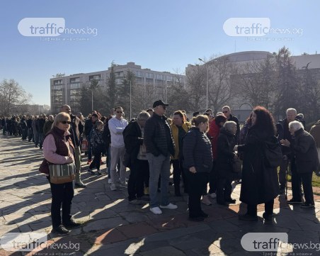 Дълга опашка се изви за безплатни дръвчета в Пловдив