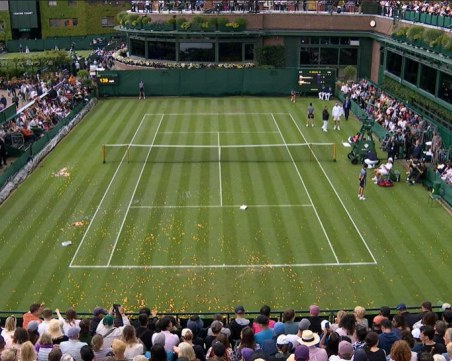 Осъдиха екоактивисти, прекъснали мач на Григор Димитров