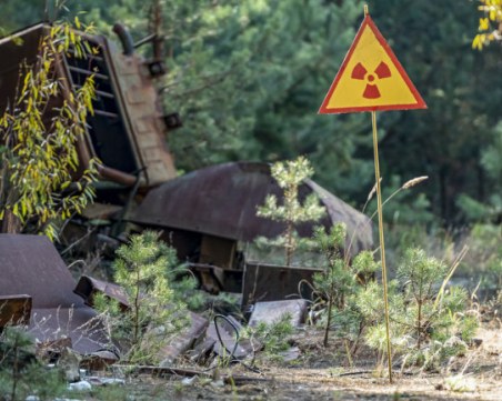 Как и защо жабите в Чернобил са променили цвета си