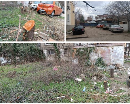 Мистериозно изчезнаха дървета от междублоково пространство в Пловдив, разследват случая