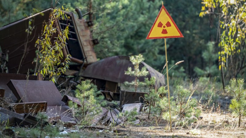 Как и защо жабите в Чернобил са променили цвета си