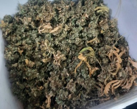 160 кг марихуана е хваната за два месеца в Пловдив, превръща се в най-желания наркотик у нас