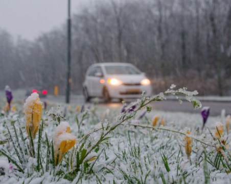 Проф. Рачев: Предстои мартенско време - ту топло, ту студено