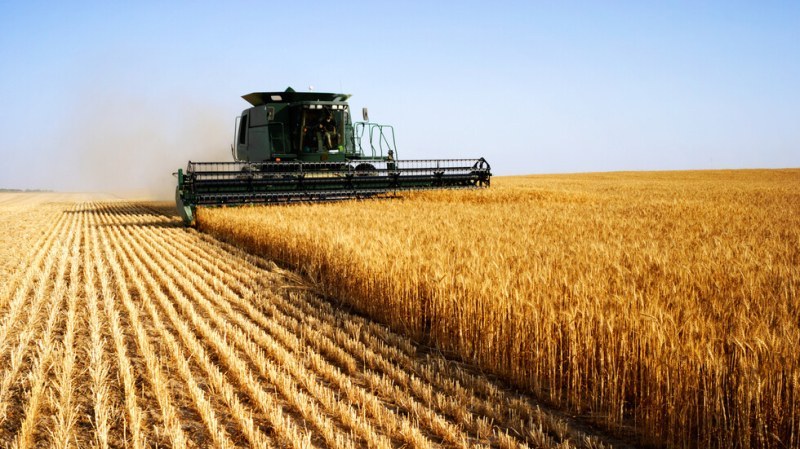 България и още 19 страни искат Европейската комисия да вземе мерки срещу кризата в земеделието