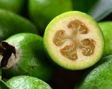 Наричат плода фейхоа еликсир на вечната младост