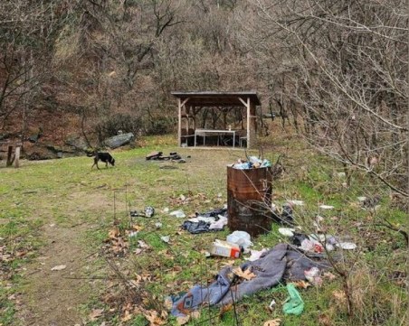 Превърнаха красиво място край Асеновград в сметище