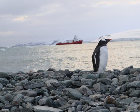 Природонаучният музей кани на вълнуващо фото пътешествие до Антарктида