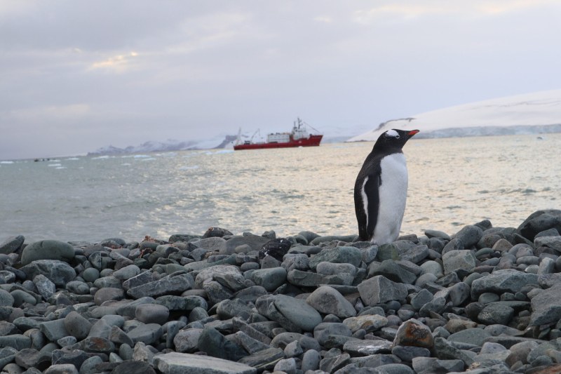 Природонаучният музей кани на вълнуващо фото пътешествие до Антарктида