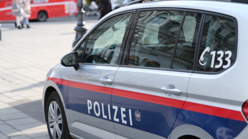 Полицията във Виена разследва системно изнасилване на 12-годишна ученичка от