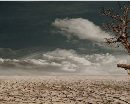 Очаква ни екстремно лято през тази година