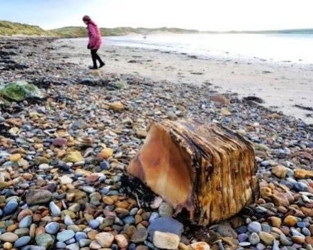 Мистериозен пакет, изхвърлен на плаж във Великобритания, може да е от 