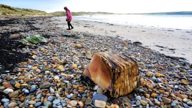 Мистериозен пакет, изхвърлен на плаж във Великобритания, може да е от 