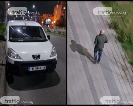 Абсурдна кражба: Мъж си вади храсти от булевард в Пловдив