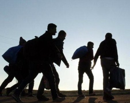 Министерски съвет: Фалшиви новини всяват паника за „хиляди мигранти престъпници