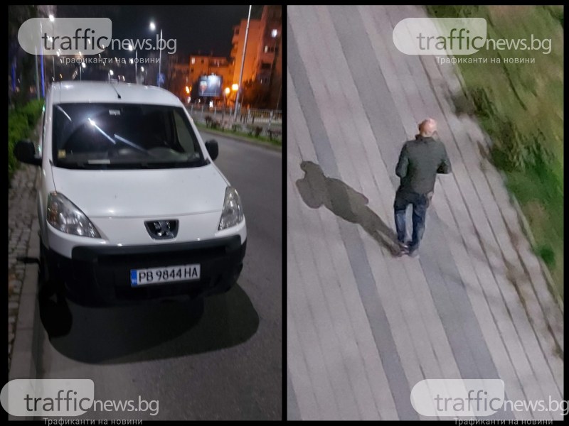 Абсурдна кражба: Мъж си вади храсти от булевард в Пловдив