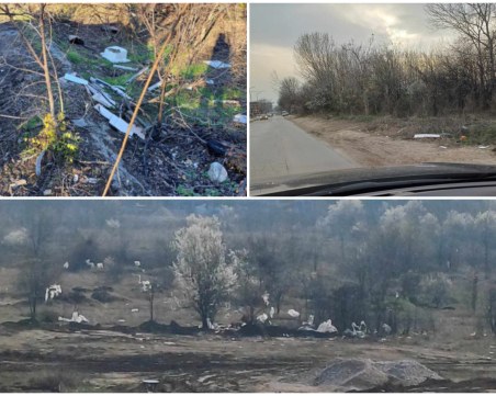 Купища отпадъци грозят района на Гребна база в Пловдив, къде са институциите?