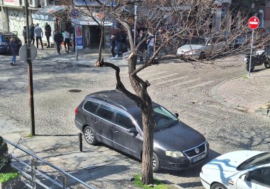 Пловдивски автомобил впечатли с паркиране на ул Капитан Райчо сигнализира