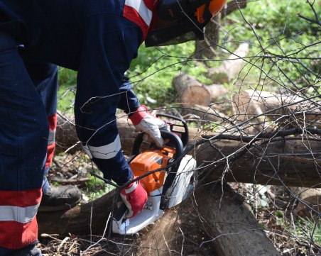 Доброволците от 