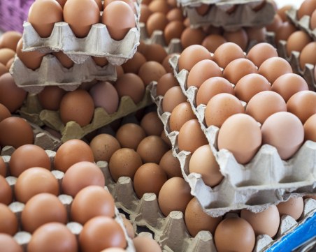 Опасни ли са вносните яйца