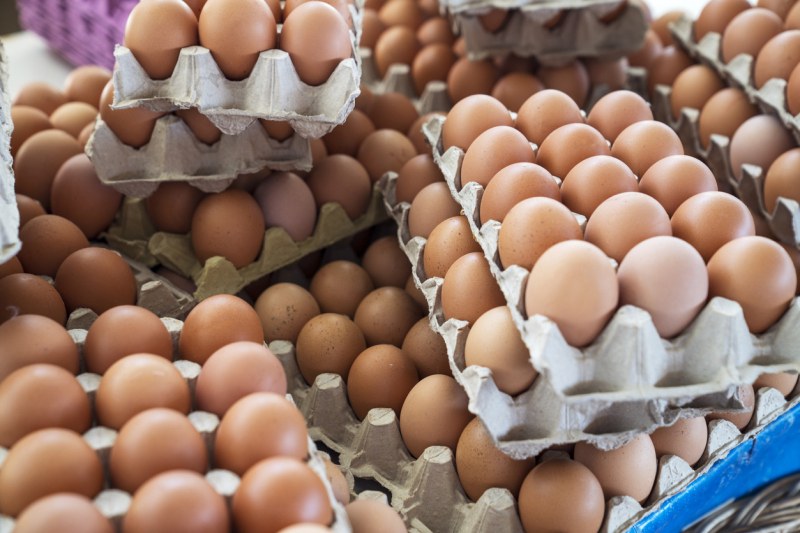 Опасни ли са вносните яйца