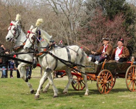 Днес е Тодоровден