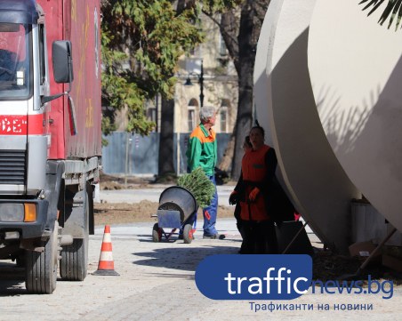 Градската градина е почти готова! Озеленяват я с нови дървета и храсти, полагат десетки пейки