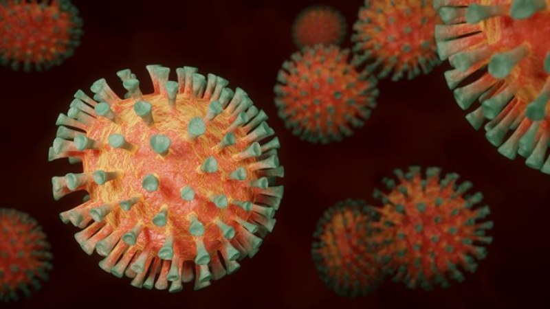 През изминалото денонощие у нас са регистрирани 12 новозаразени с коронавирус.Двама
