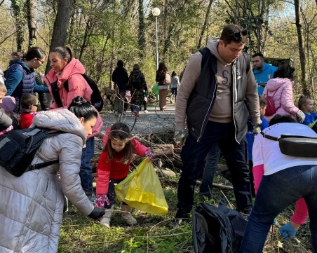 Мисия Лаута 4 с рекорд: 100 дка от гората бе изчистена от паднали дървета