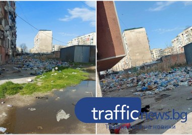 Жители на улица в Столипиново се оплакват от сметище образувало