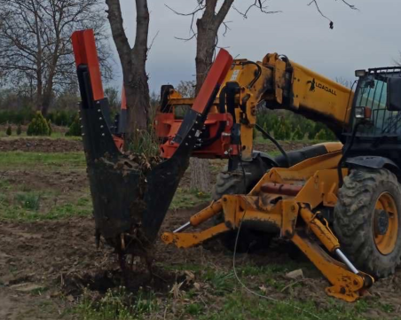 Община Пловдив закупи машина за преместване на големи дървета