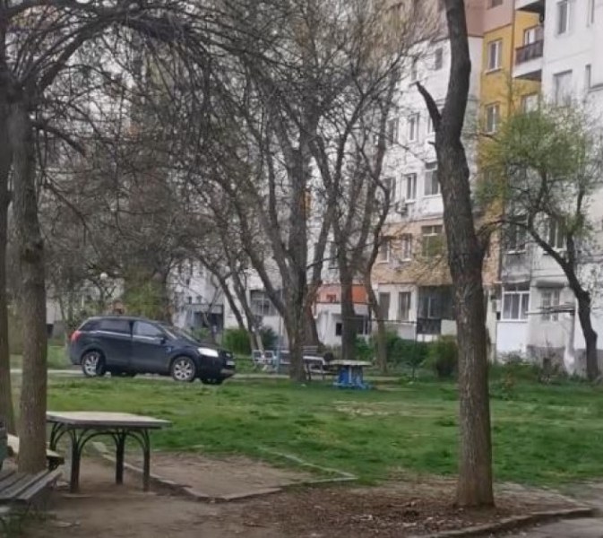 За кого са зелените площи в Пловдив? За хората или