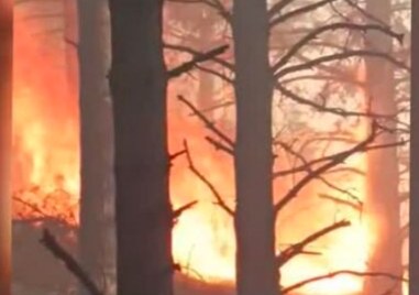 Горят два големи пожара в района на Копривщица Горски служители
