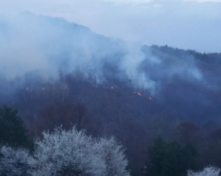 Два големи пожара избухнаха край Копривщица