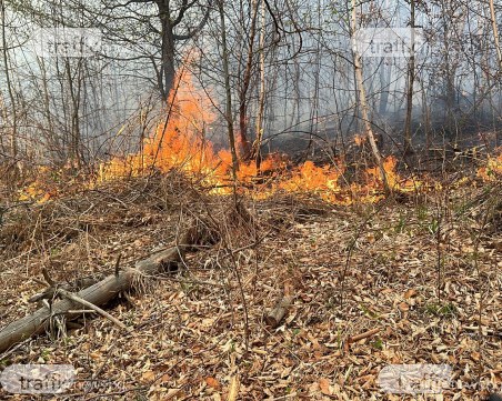 Гасенето на пожара в Копривщица продължава, екипи ще патрулират и тази нощ