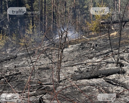Разследват причината за пожара в Копривщица, засегнал над 500 дка горски фонд