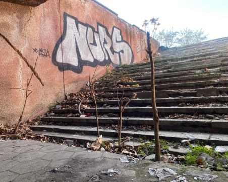 Труп на млад мъж откриха в подлез в Пловдив