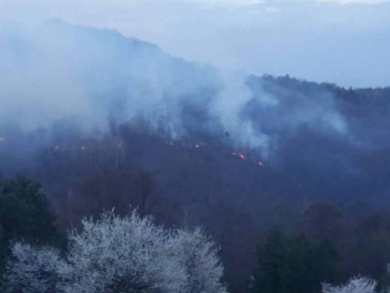 Два големи пожара избухнаха край Копривщица