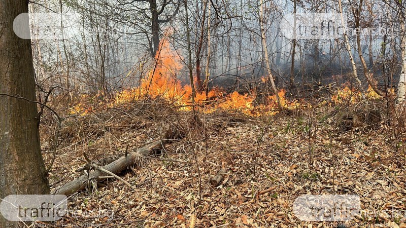 Гасенето на пожара в Копривщица продължава, екипи ще патрулират и тази нощ
