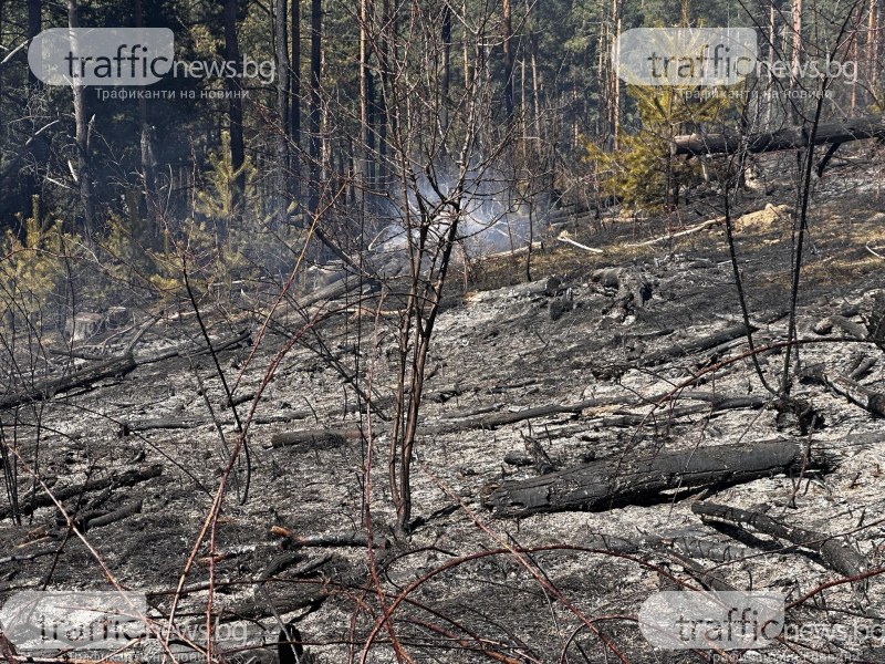 Разследват причината за пожара в Копривщица, засегнал над 500 дка горски фонд