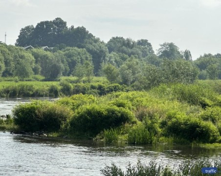 РИОСВ обяви чистенето на Марица в Пловдивско за потенциално опасно за природата