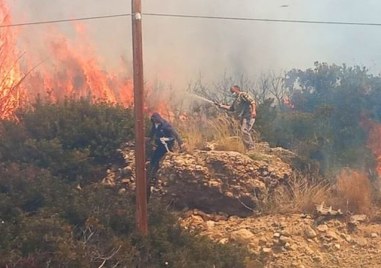 На гръцкия остров  горски пожар и властите наредиха на населението
