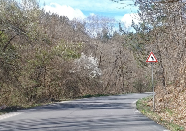Пътен знак поставен на пътя между Искрец и Бучин проход предизвика
