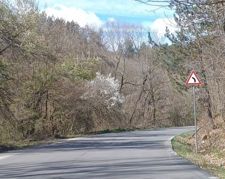 Опасен завой наляво? Пътен знак у нас възмути шофьори