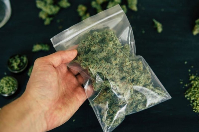 Хванаха 70 кг. марихуана в дома на френски кмет