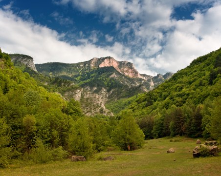 Изготвиха организация за превенция и реакция при пожар в резерватите