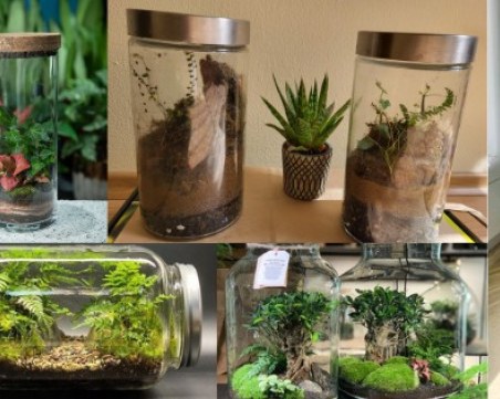 Правим си планина в буркан в Природонаучния музей